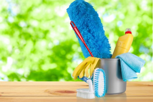 Professional home cleaners in Putney providing domestic cleaning support