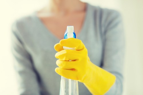 Detailed cleaning support for Putney households