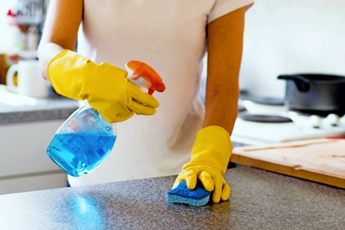Expert carpets cleaner in Putney providing fresh and hygienic carpet care