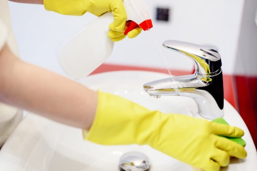 Bathroom domestic cleaning in Putney