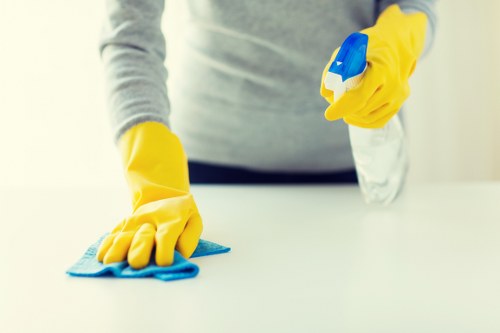Technician performing detailed oven cleaning service