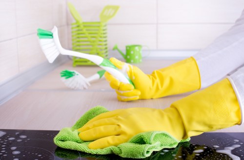 Clean domestic windows letting in natural light in Putney