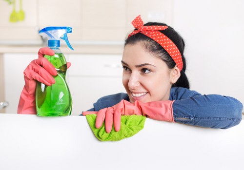Specialist cleaning services in Putney for deep cleaning and move-out jobs