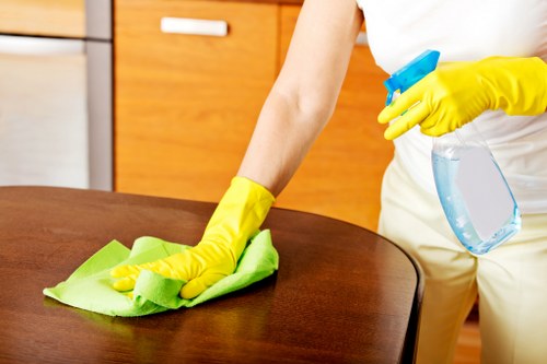 Oven cleaner in Putney removing grease from oven racks