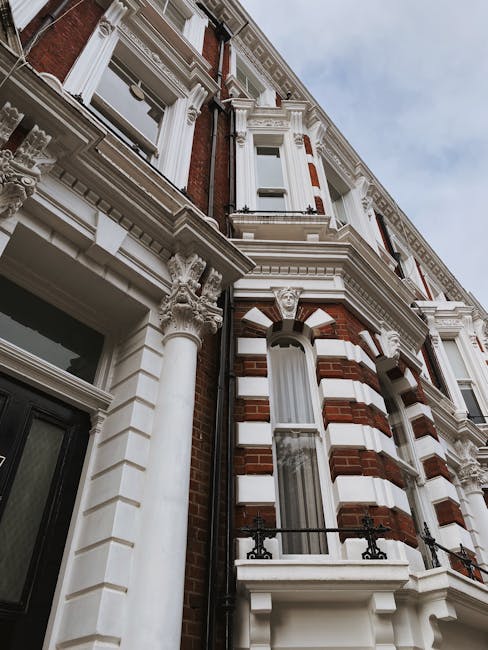 Mould removal for SW15 homes: Putney specialists image
